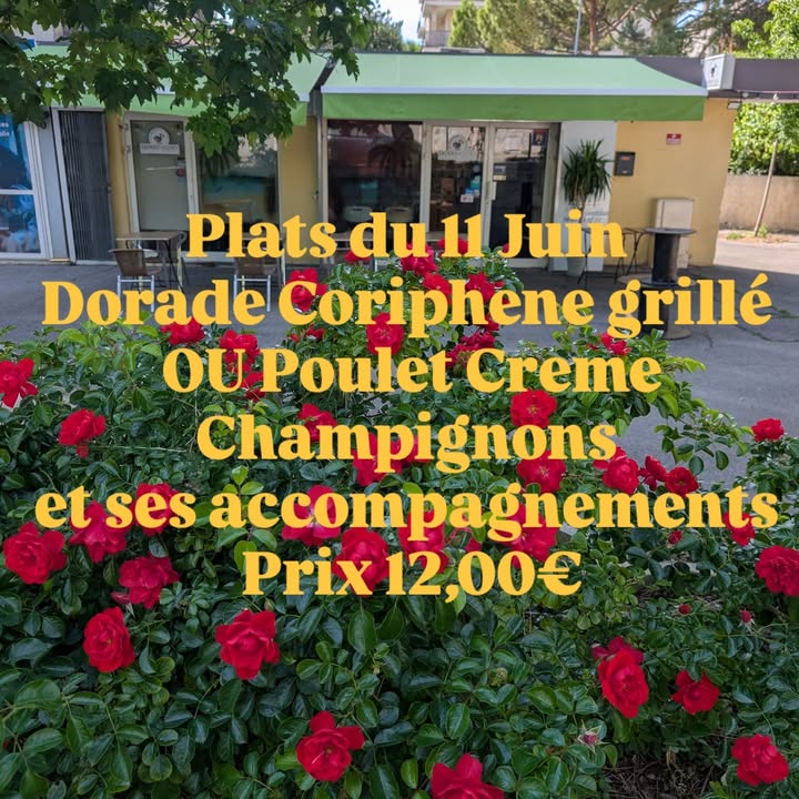 Dodo Kitchen Restaurant